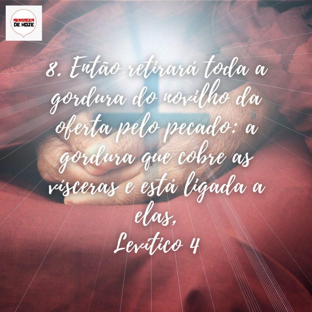 Salmos 28 de Dezembro de 2022 19