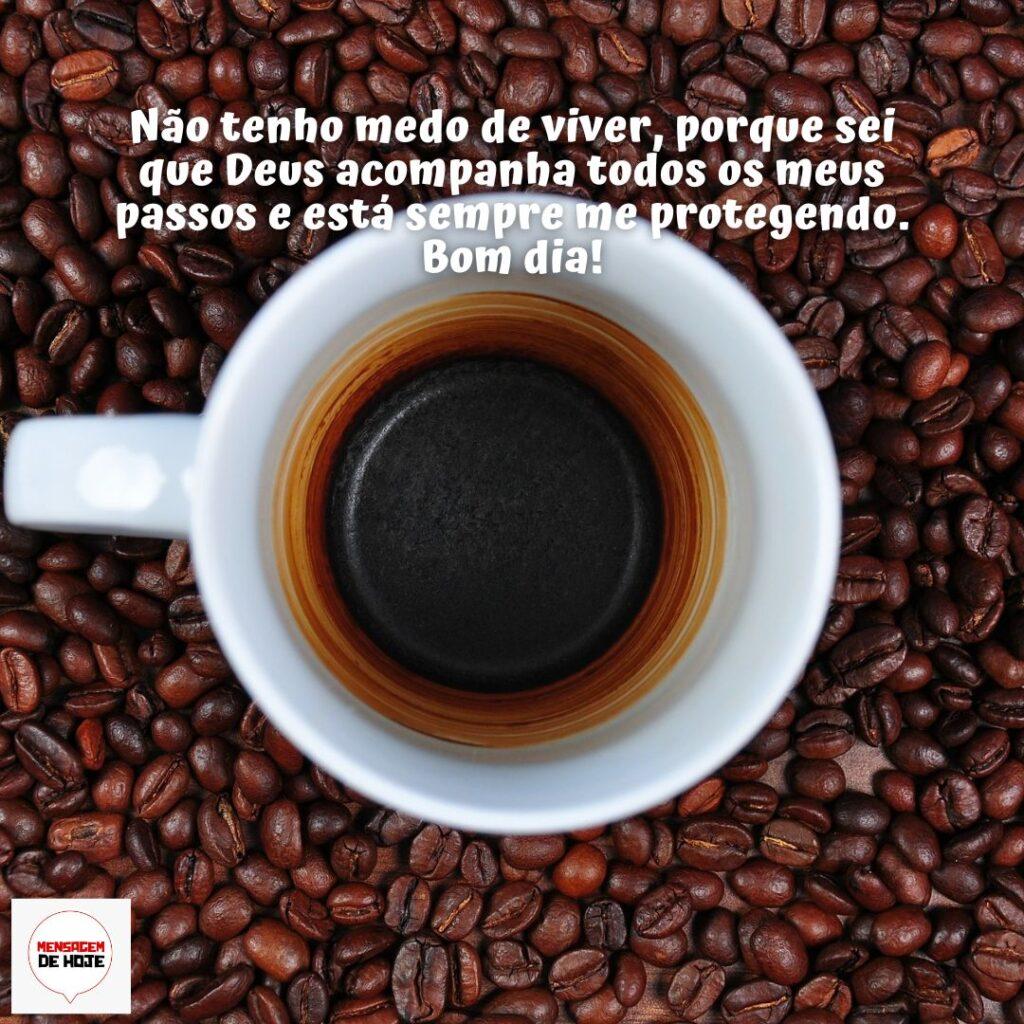 Bom Dia 14 de Dezembro de 2022 1