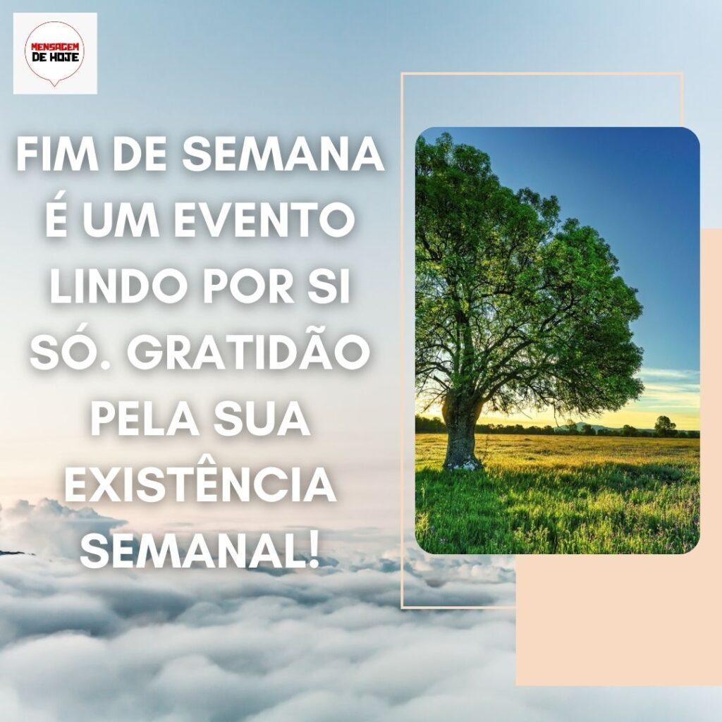 Boa Tarde 10 de Dezembro de 2022 13