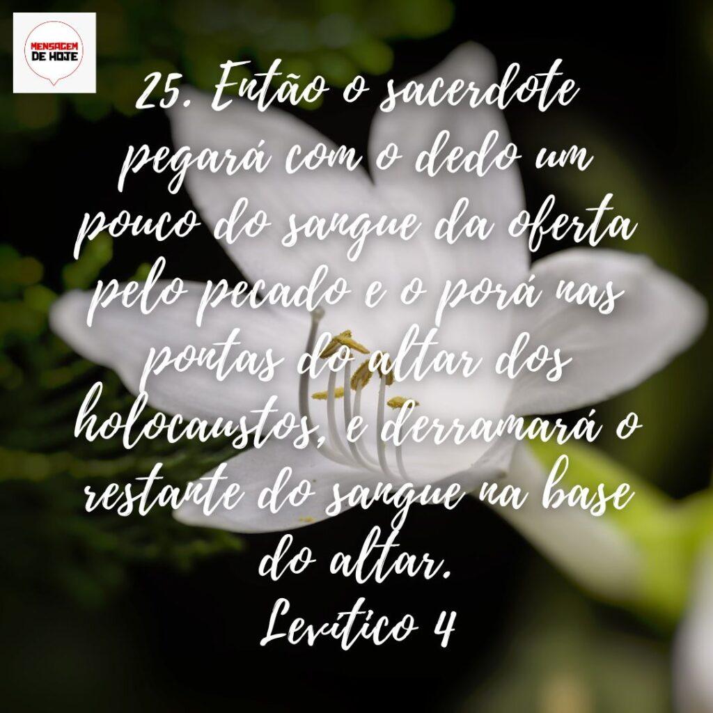 Salmos 10 de Dezembro de 2022 11