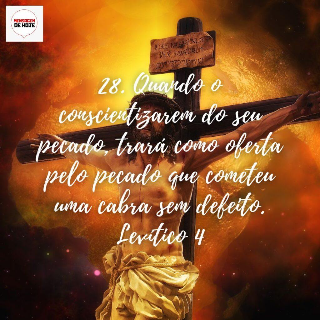 Salmos 30 de Dezembro de 2022 17