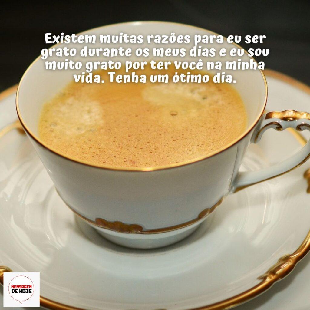 Bom Dia 12 de Dezembro de 2022 17