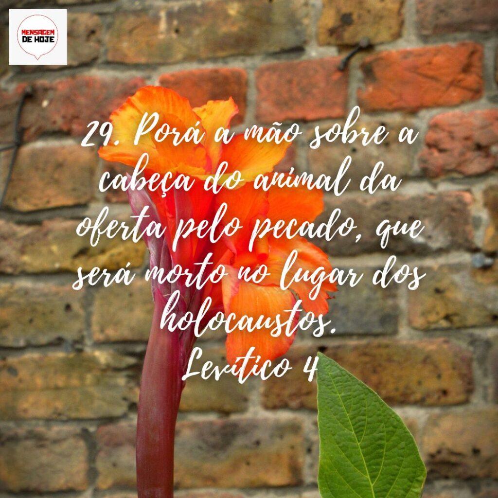 Salmos 10 de Dezembro de 2022 19