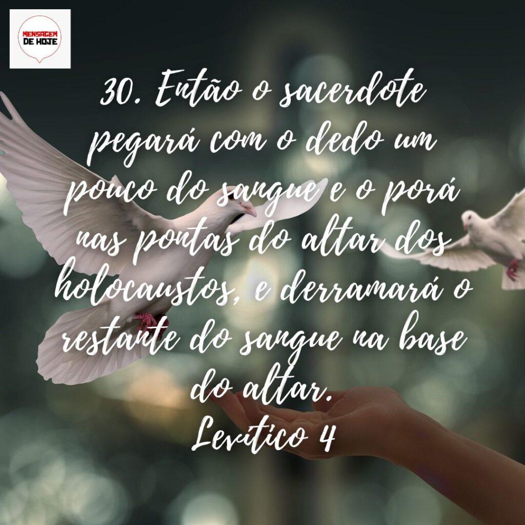 Salmos 30 de Dezembro de 2022 1