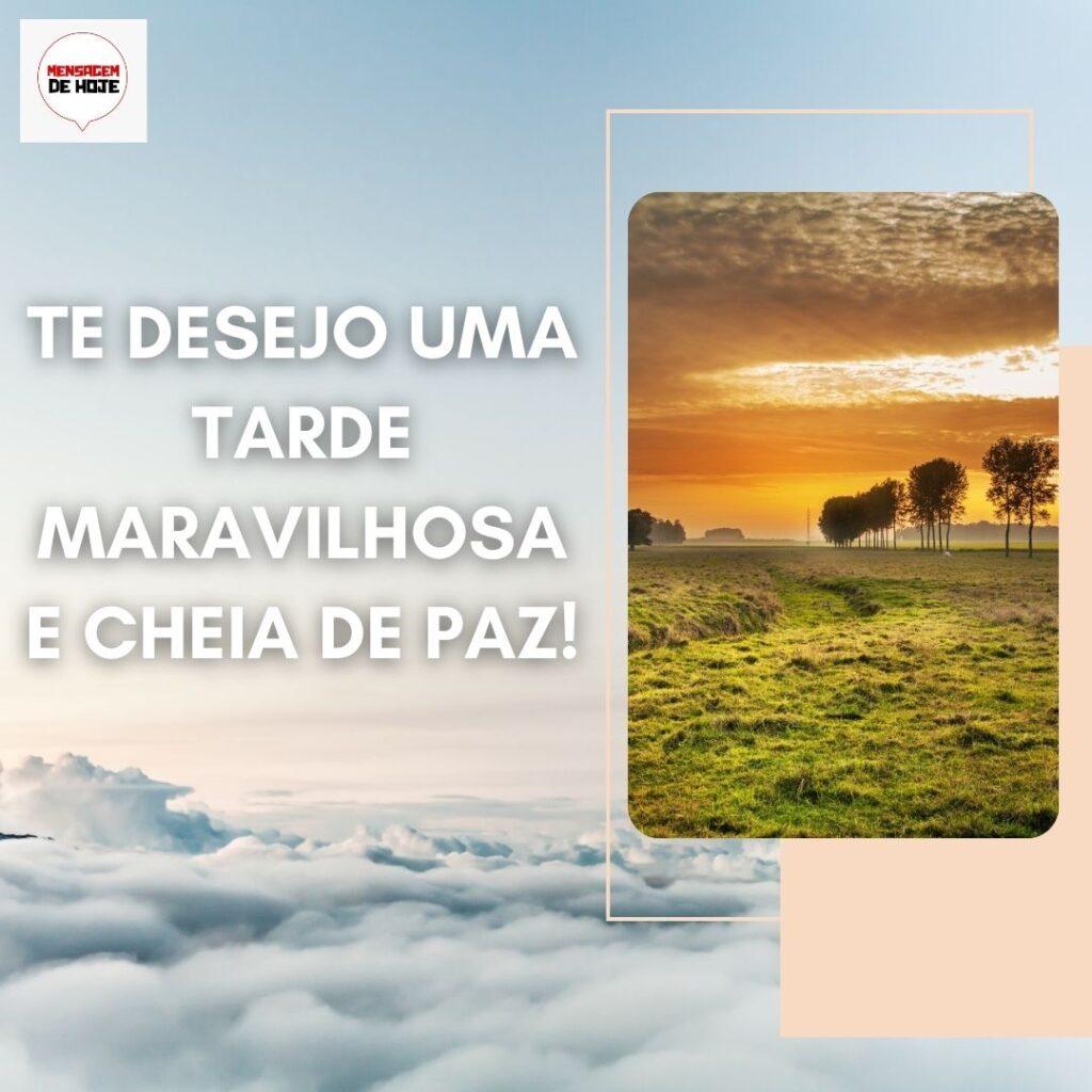 Boa Tarde 22 de Dezembro de 2022 13