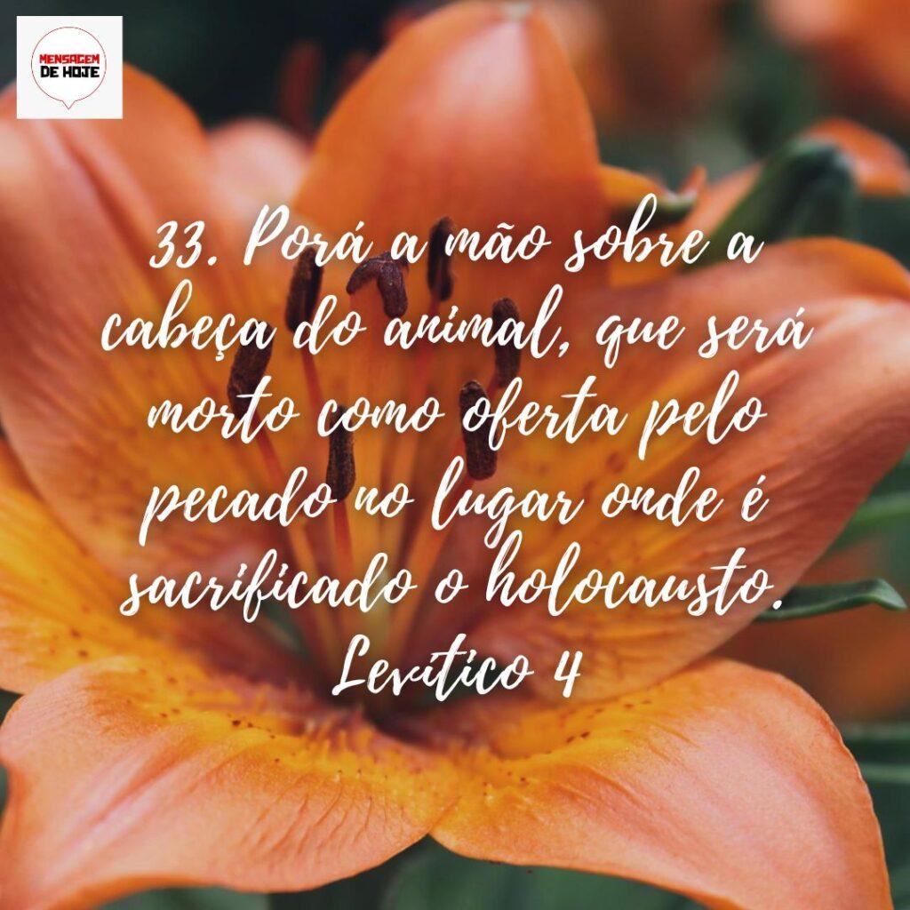 Salmos 31 de Dezembro de 2022 7