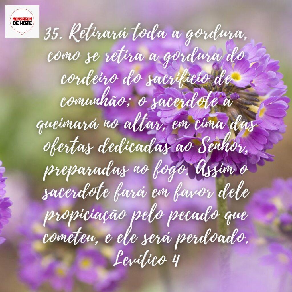 Salmos 11 de Dezembro de 2022 11
