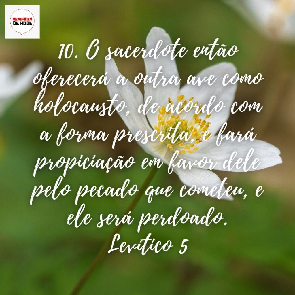 Salmos 12 de Dezembro de 2022 11