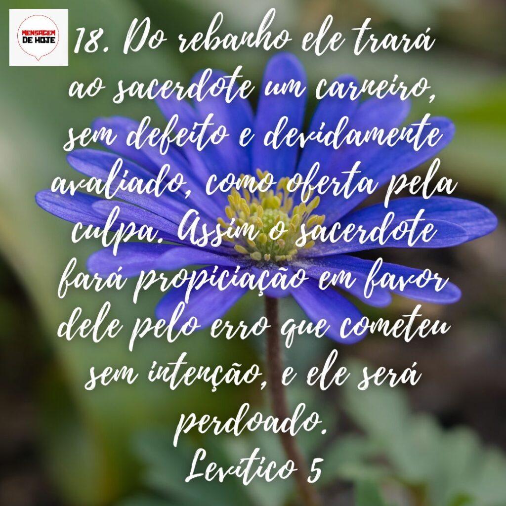 Salmos 13 de Dezembro de 2022 7