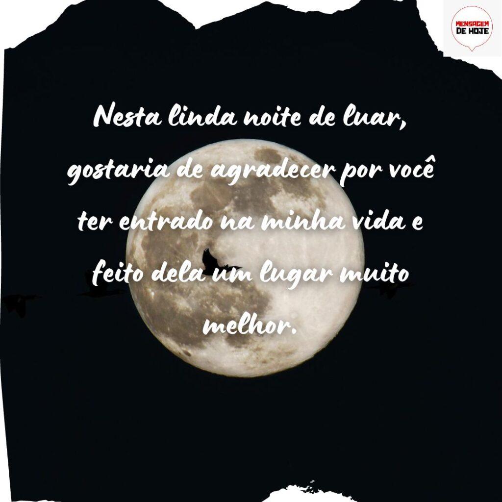 Boa Noite 19 de Dezembro de 2022 19