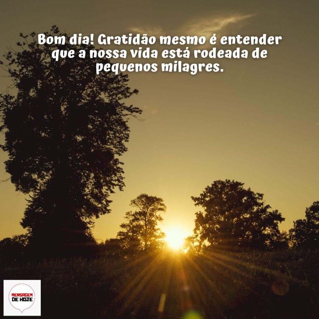 Bom Dia 09 de Dezembro de 2022 19