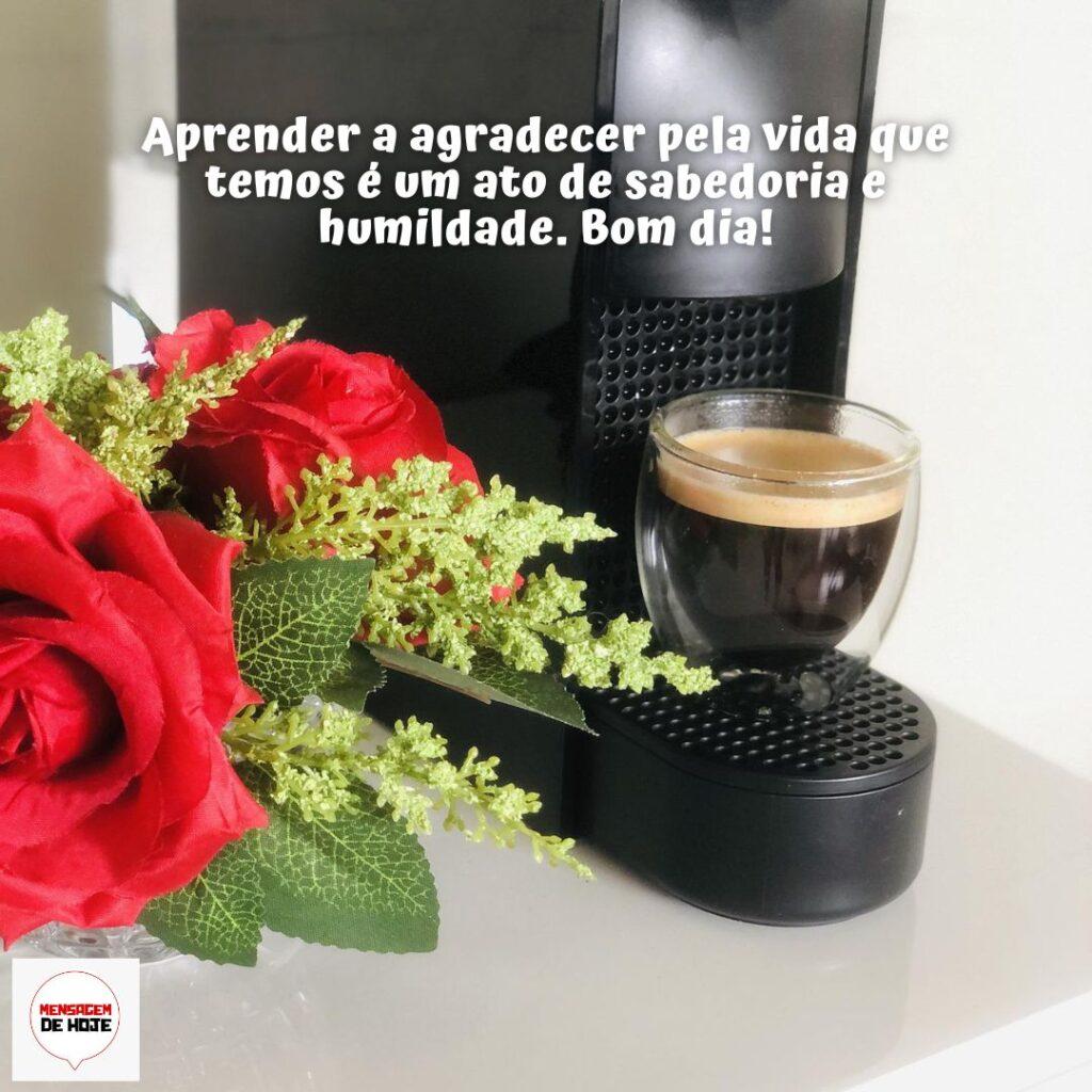 Bom Dia 09 de Dezembro de 2022 1