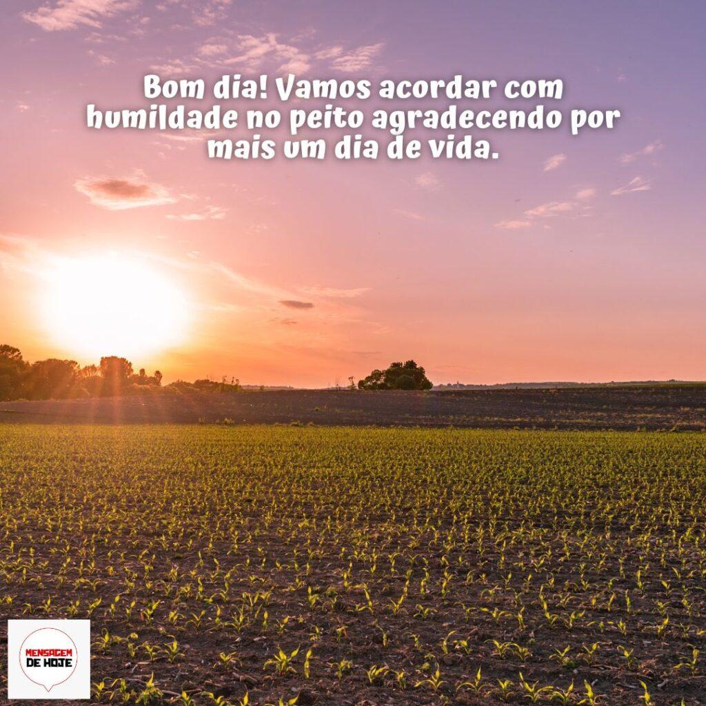 Bom Dia 09 de Dezembro de 2022 3