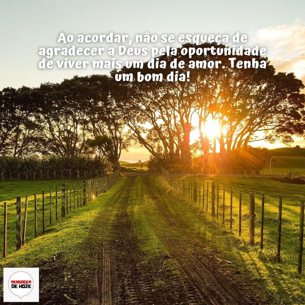Bom Dia 08 de Dezembro de 2022 3
