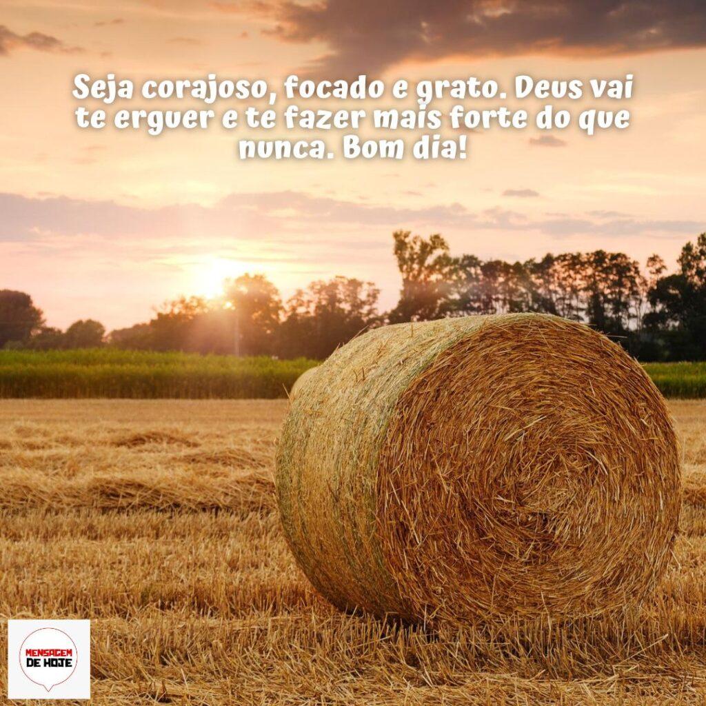 Bom Dia 07 de Dezembro de 2022 11