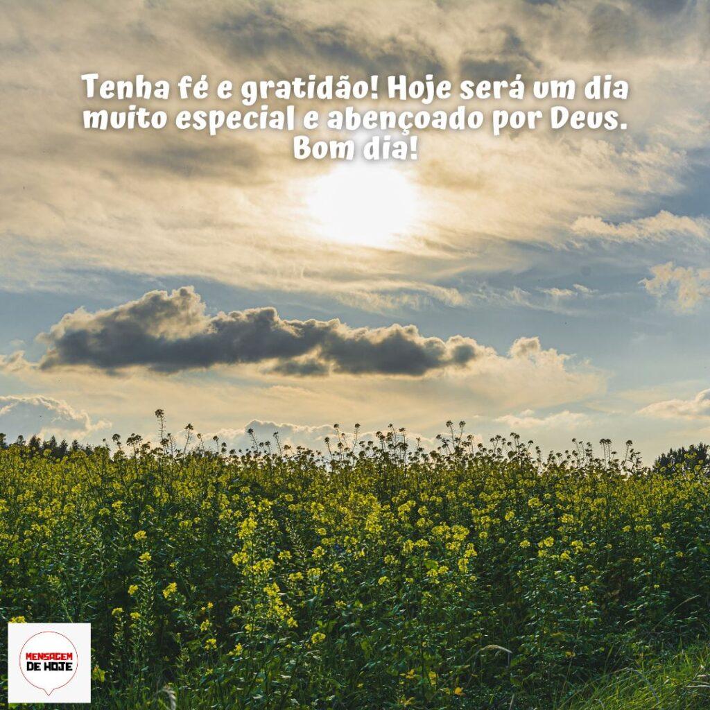 Bom Dia 07 de Dezembro de 2022 15