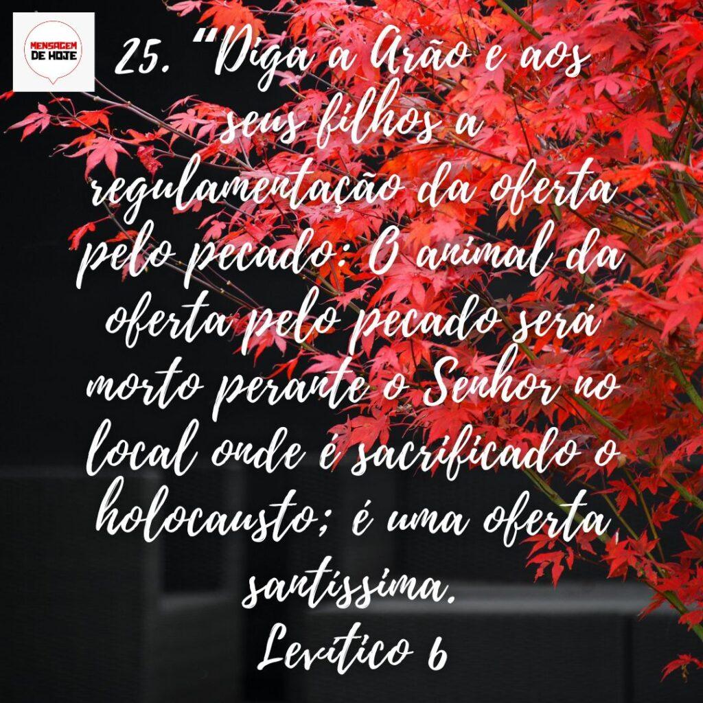Salmos 15 de Dezembro de 2022 19