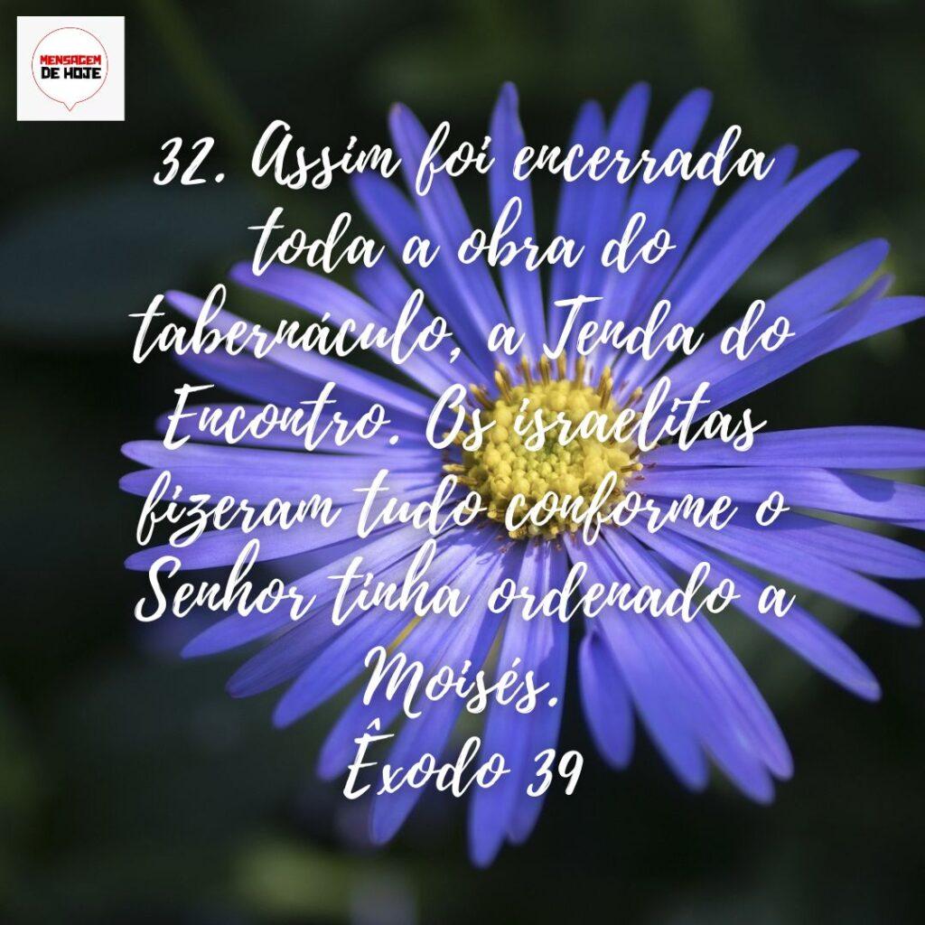 Salmos 17 de Dezembro de 2022 3