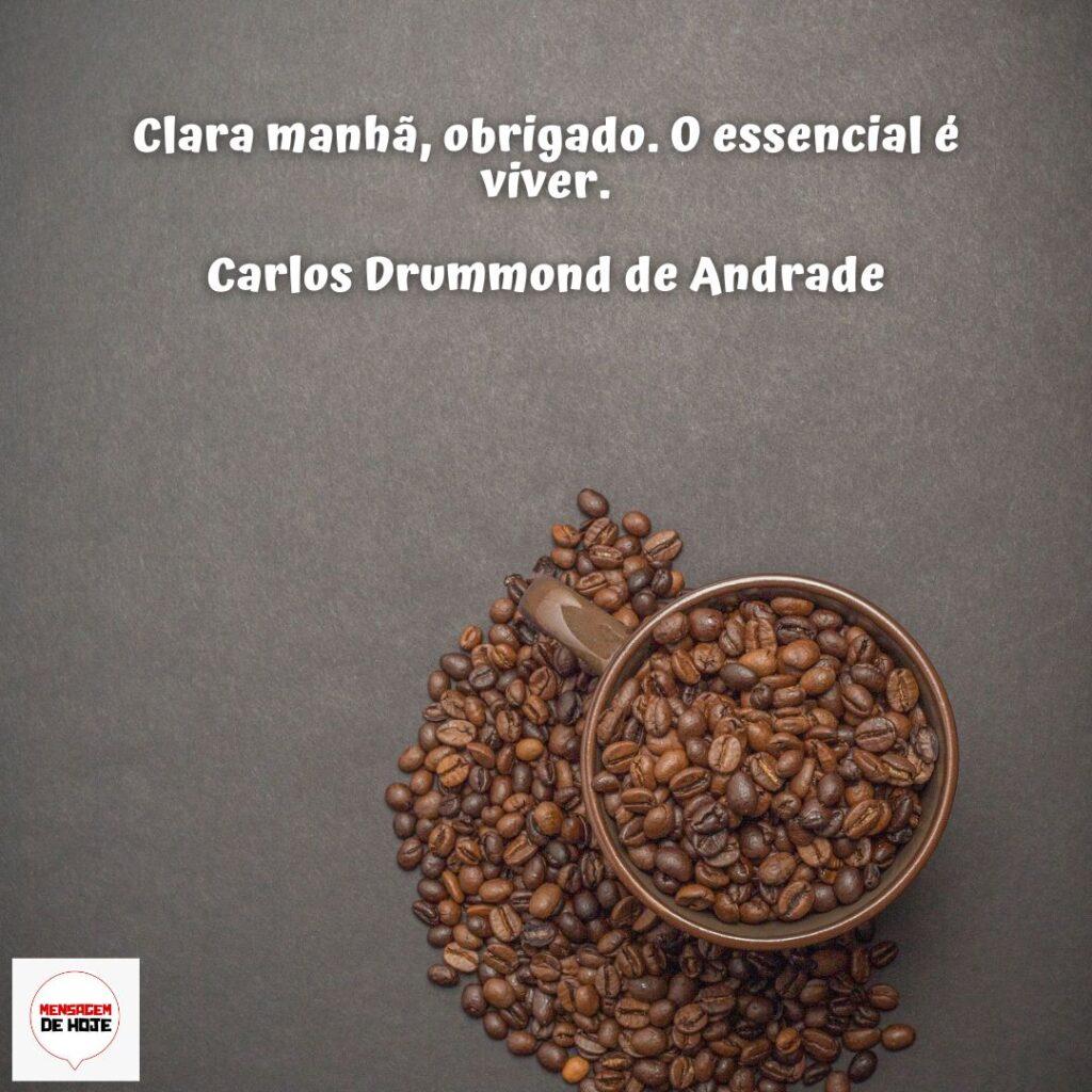 Bom Dia 25 de Dezembro de 2022 5