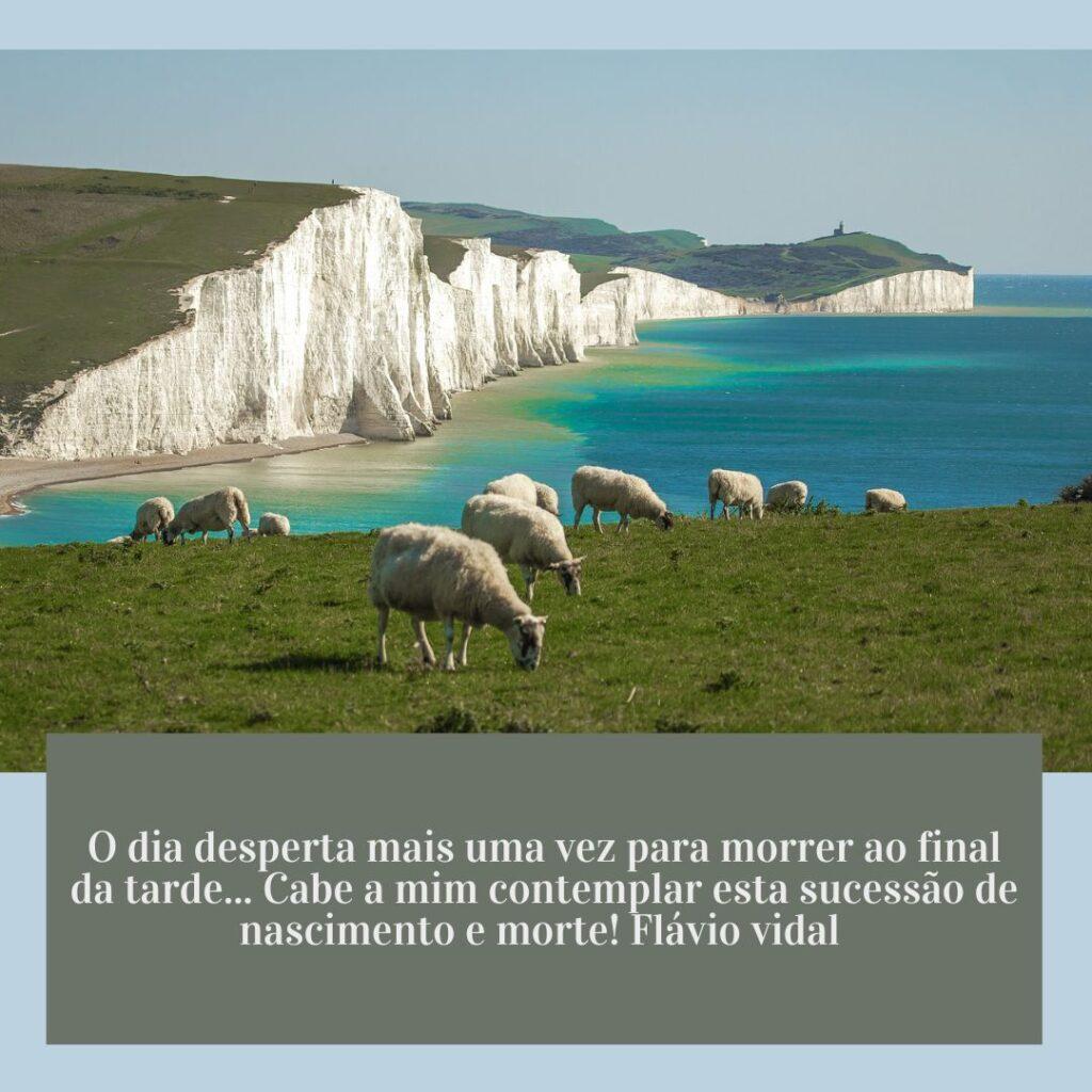 Boa Tarde 01 de Dezembro de 2022 7