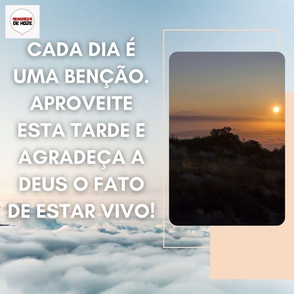 Boa Tarde 20 de Dezembro de 2022 11