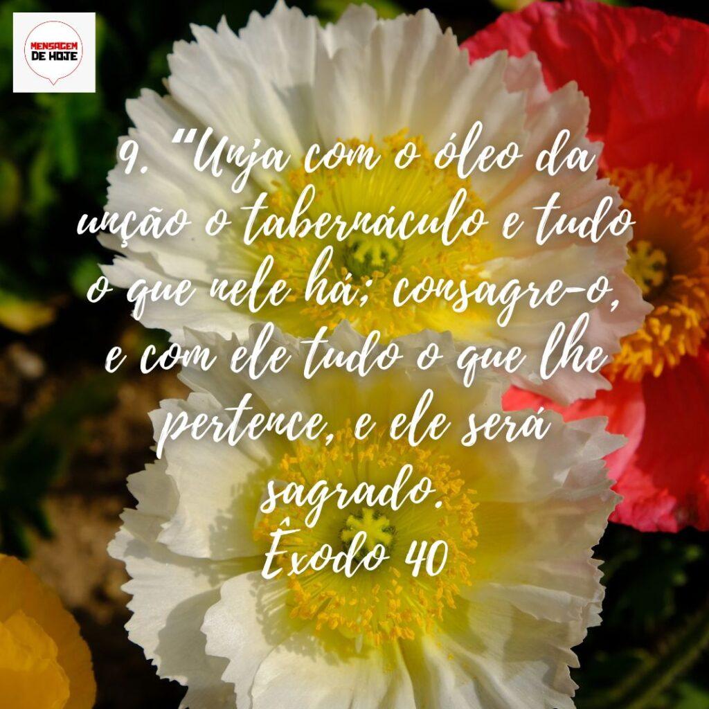 Salmos 19 de Dezembro de 2022 5