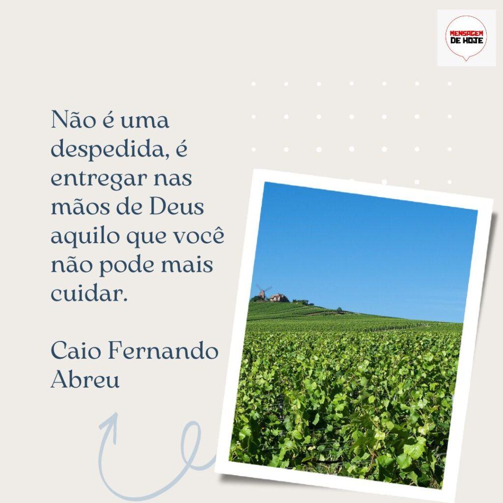Pensamentos 05 de Dezembro de 2022 19