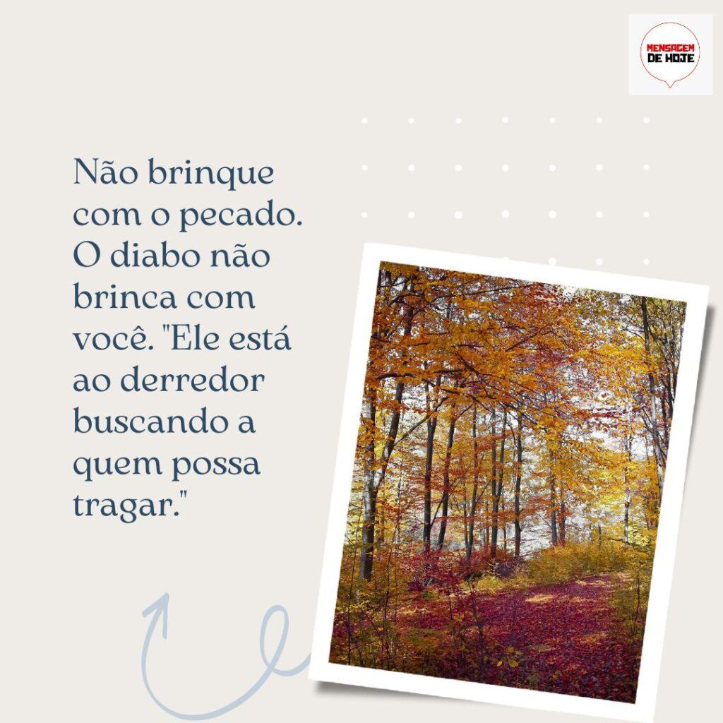 Pensamentos 05 de Dezembro de 2022 1