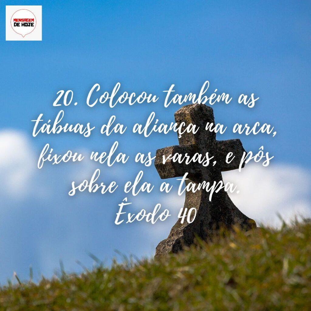 Salmos 21 de Dezembro de 2022 5