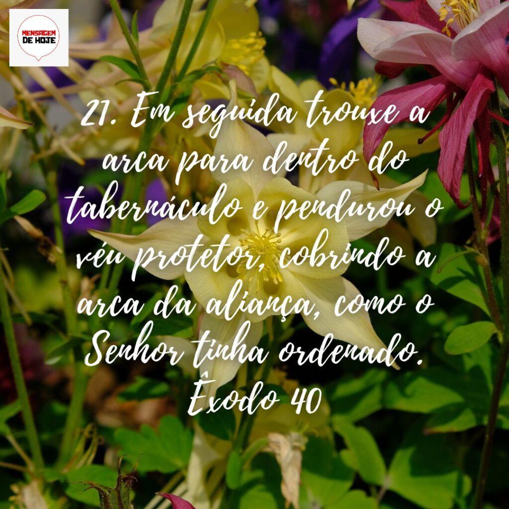 Salmos 01 de Dezembro de 2022 9