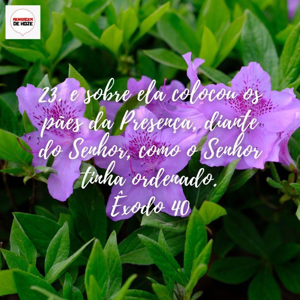 Salmos 01 de Dezembro de 2022 13