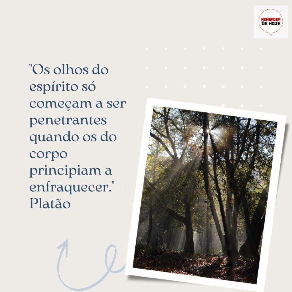 Pensamentos 06 de Dezembro de 2022 11