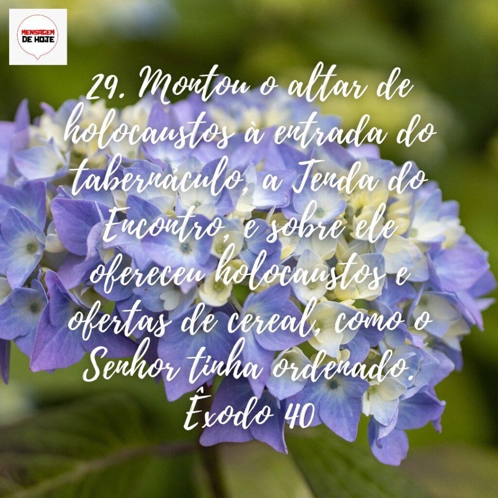 Salmos 21 de Dezembro de 2022 3