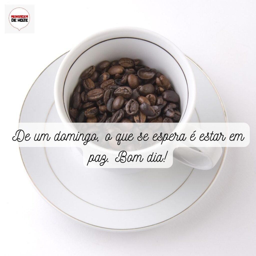 Bom Dia 31 de Dezembro de 2022 7