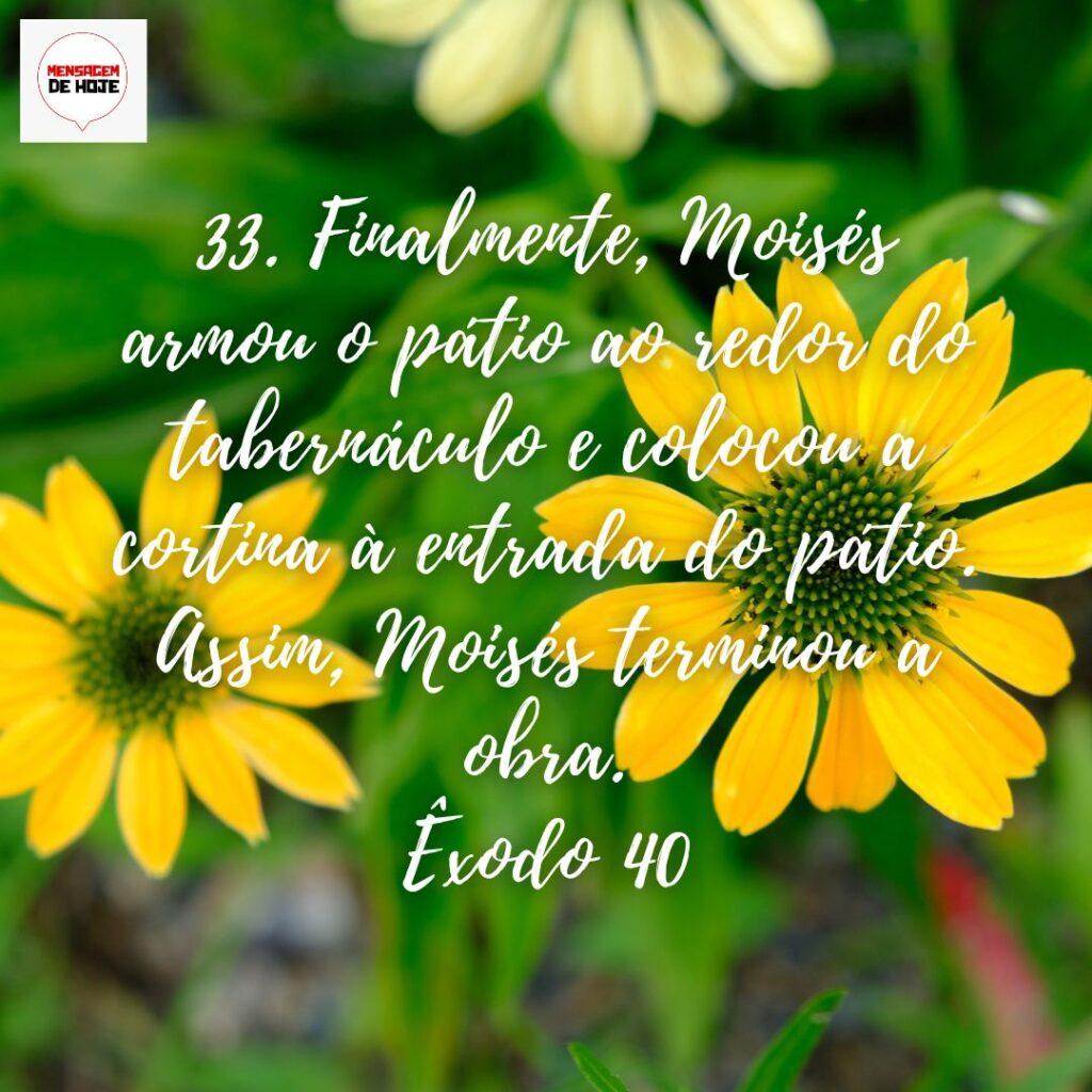 Salmos 02 de Dezembro de 2022 11