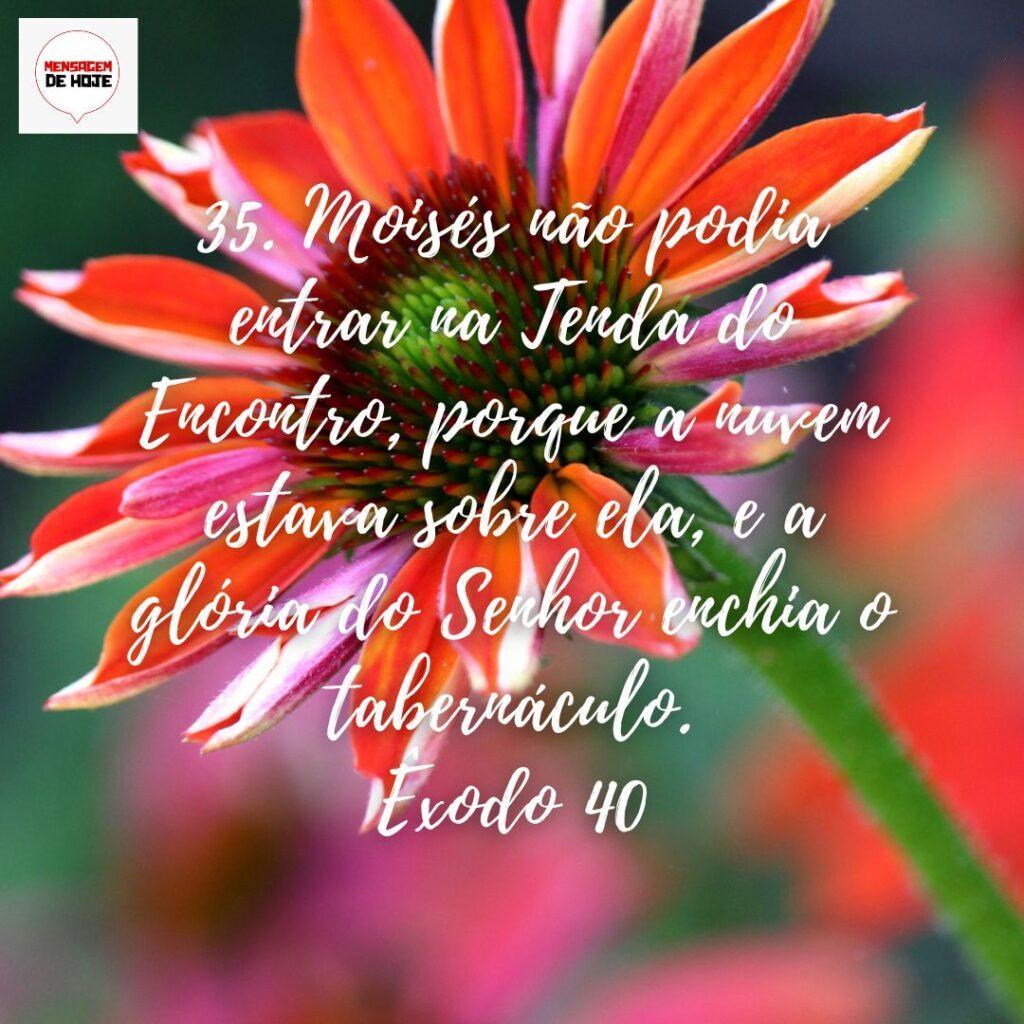 Salmos 02 de Dezembro de 2022 15