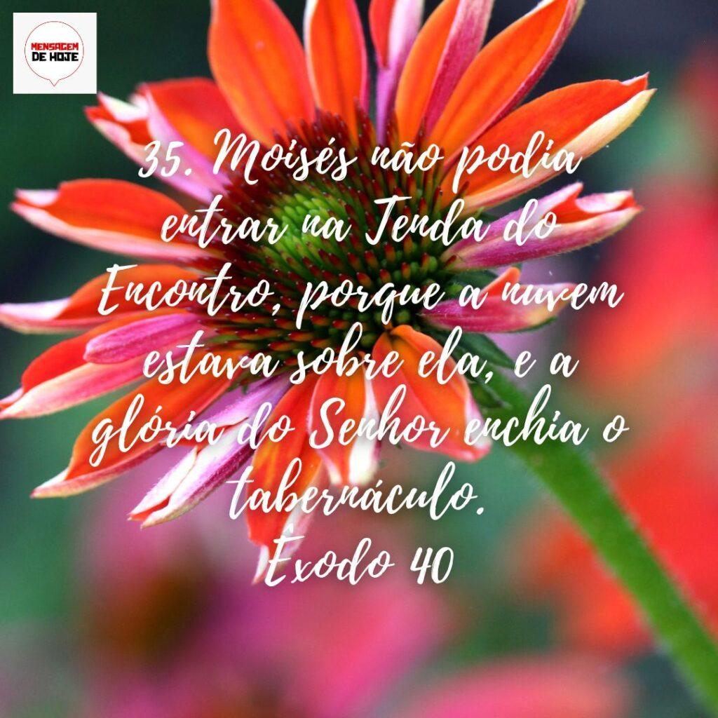 Salmos 22 de Dezembro de 2022 17
