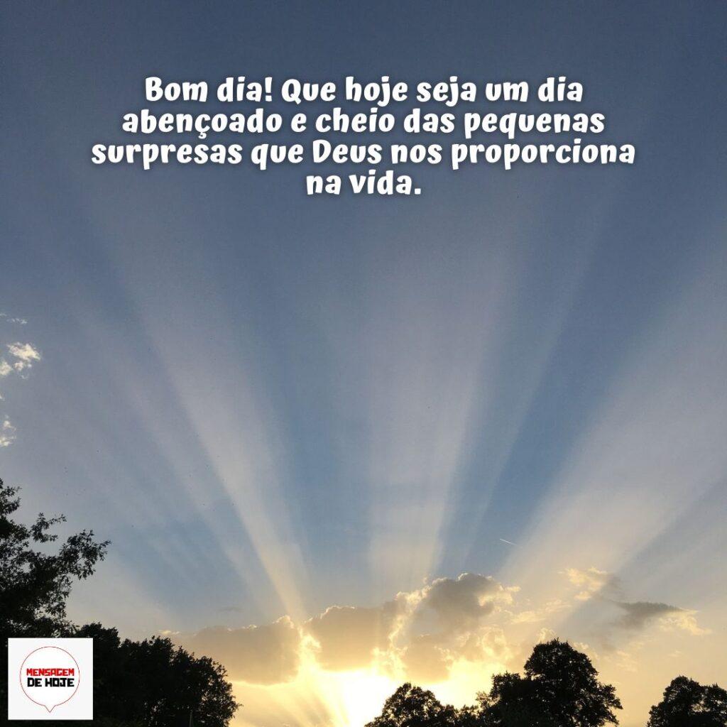 Bom Dia 20 de Dezembro de 2022 15