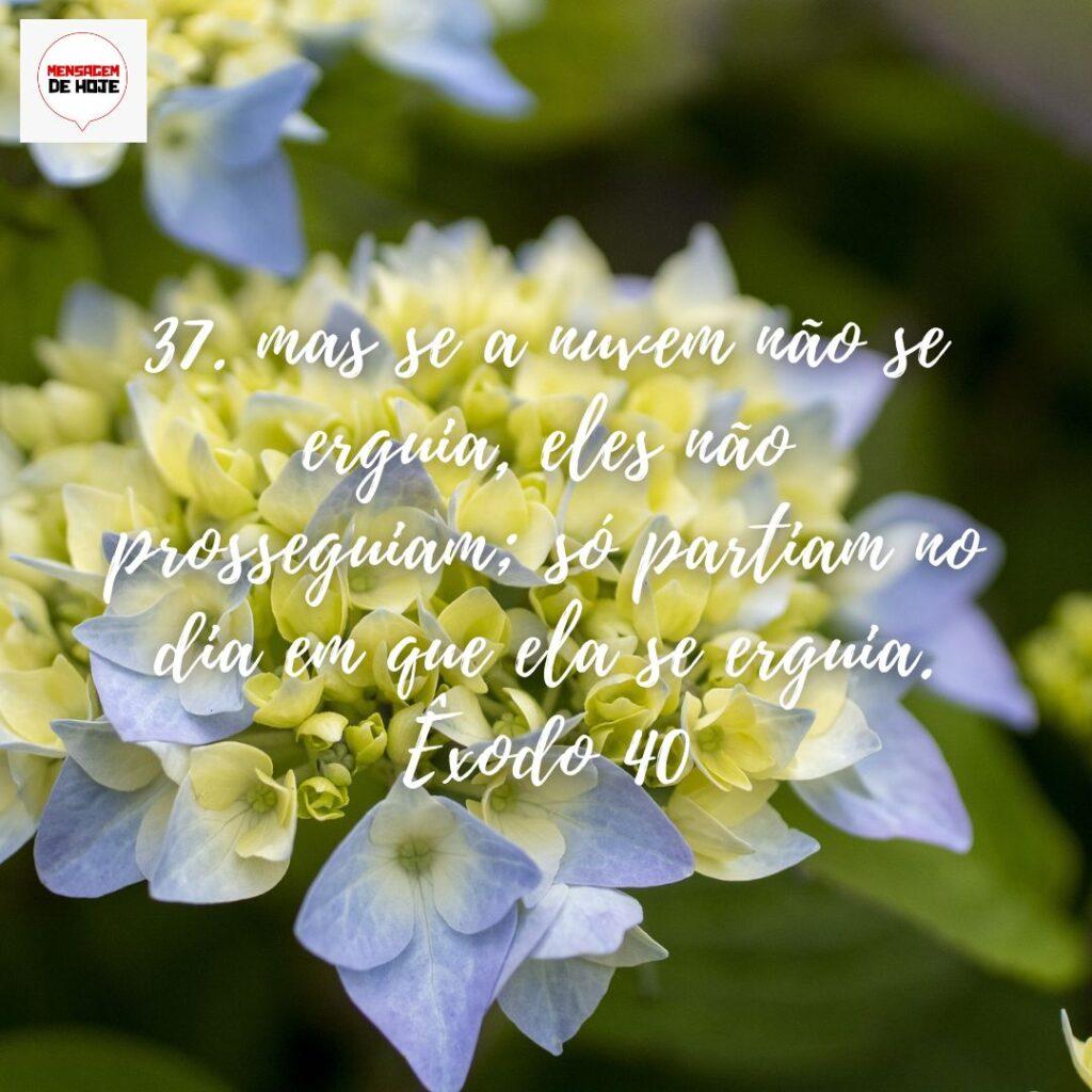 Salmos 02 de Dezembro de 2022 19