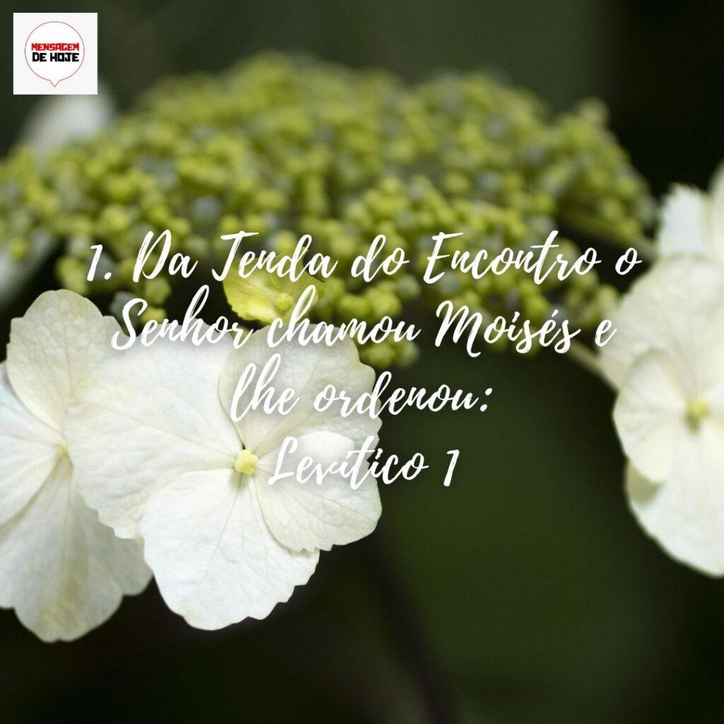 Salmos 02 de Dezembro de 2022 3