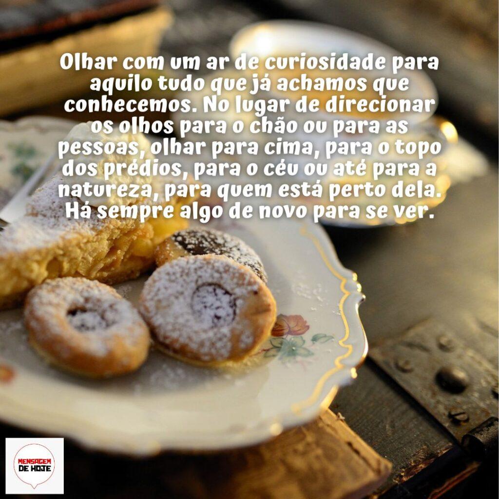 Bom Dia 19 de Dezembro de 2022 5