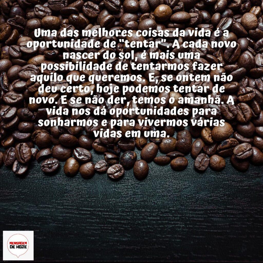 Bom Dia 19 de Dezembro de 2022 9