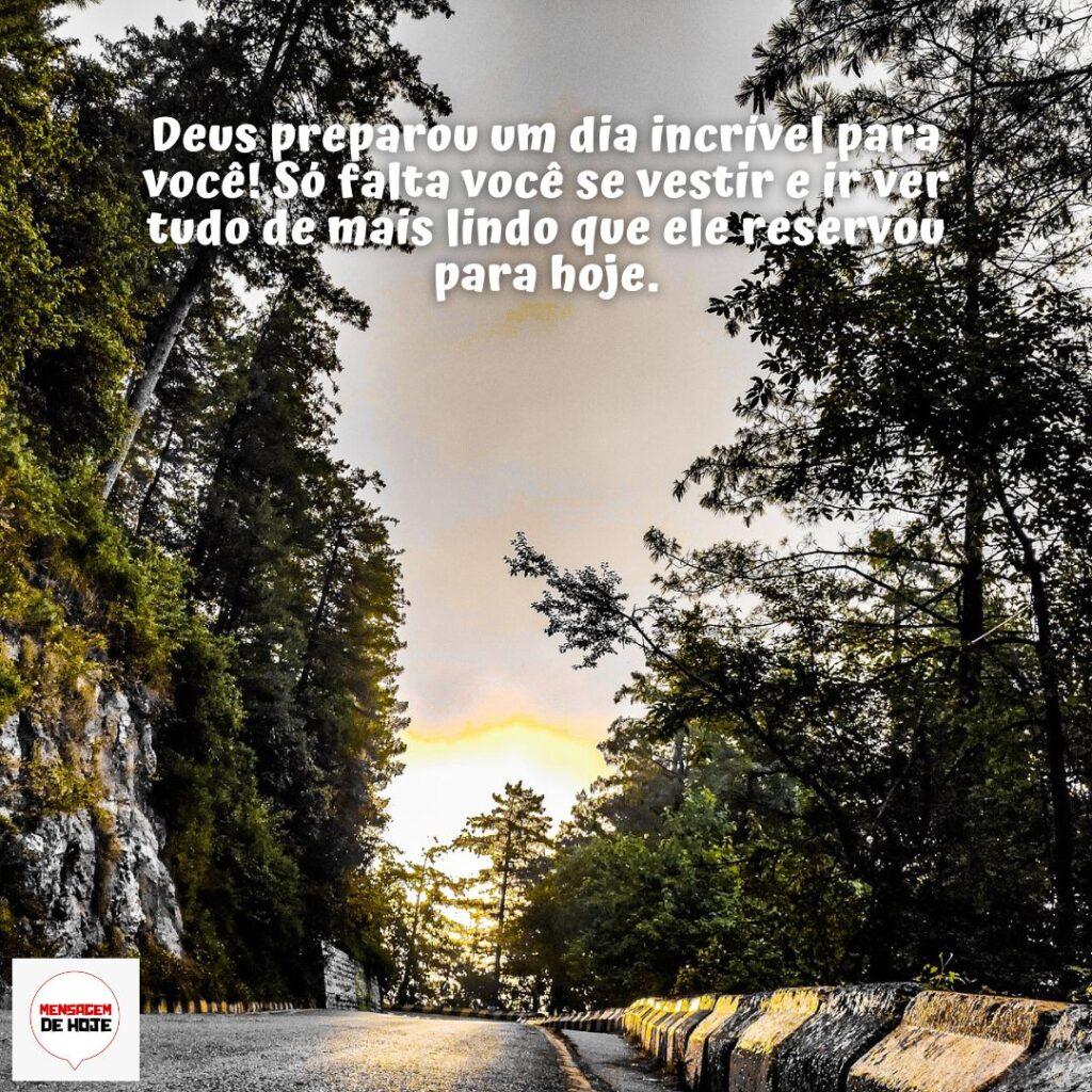 Bom Dia 19 de Dezembro de 2022 11