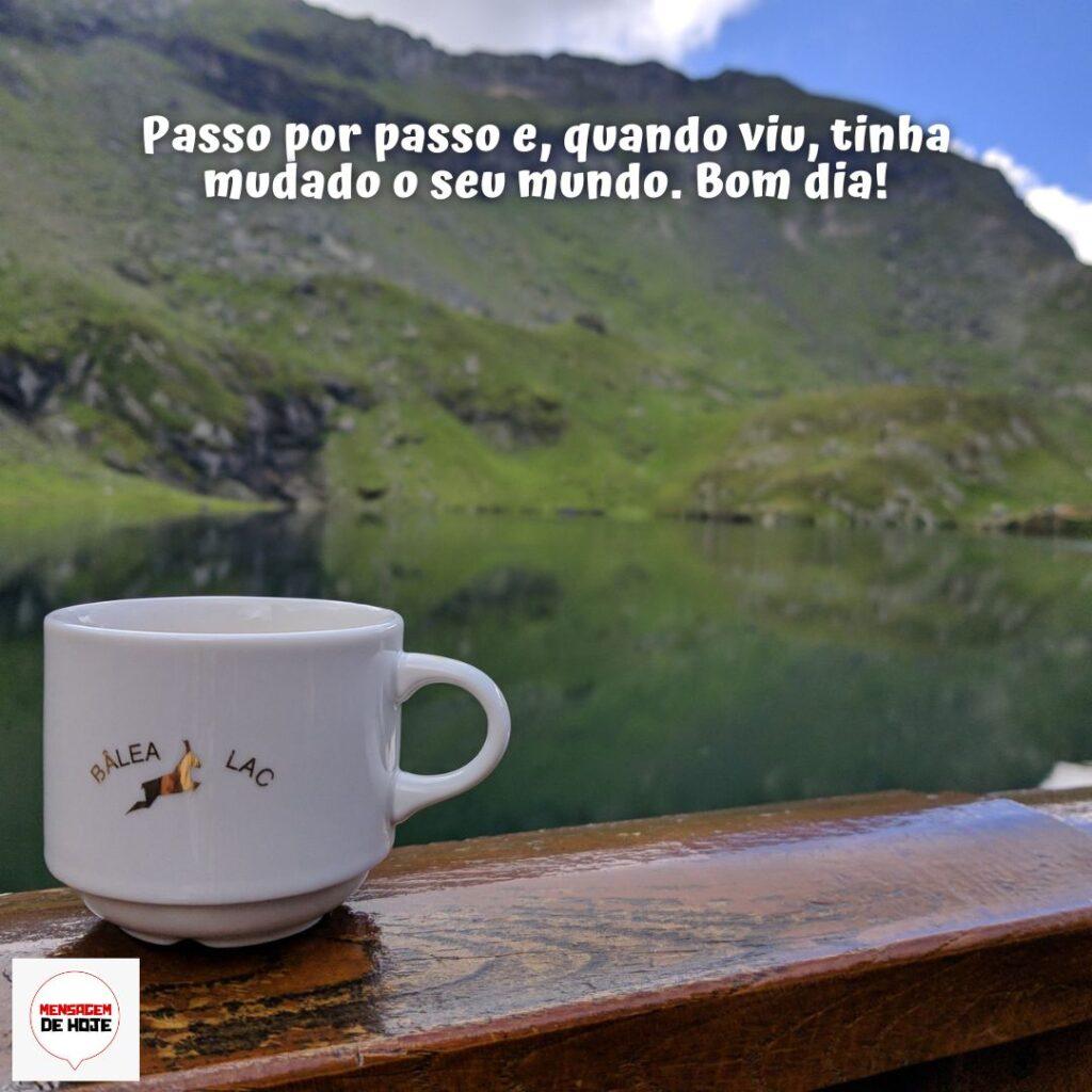 Bom Dia 19 de Dezembro de 2022 17