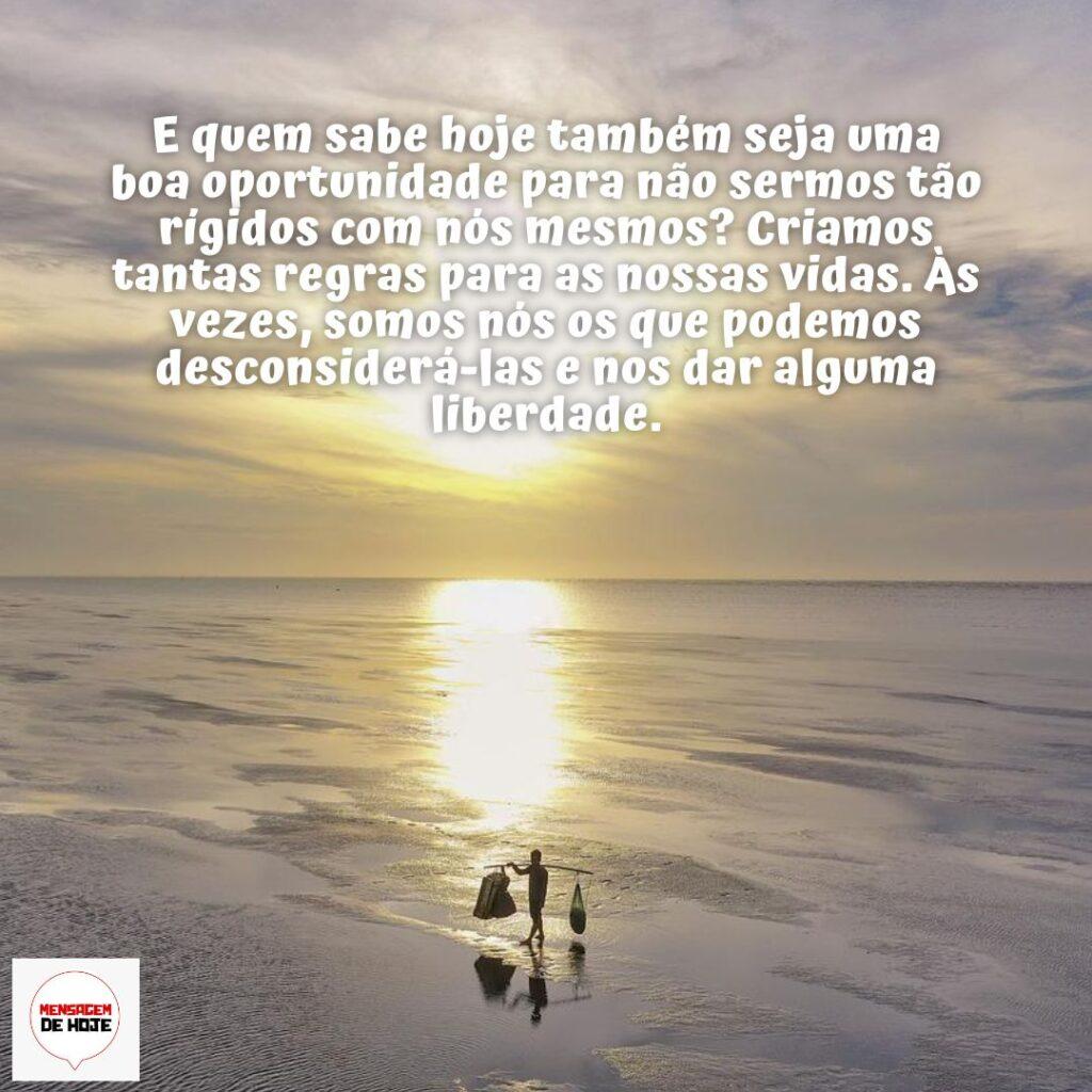 Bom Dia 19 de Dezembro de 2022 3