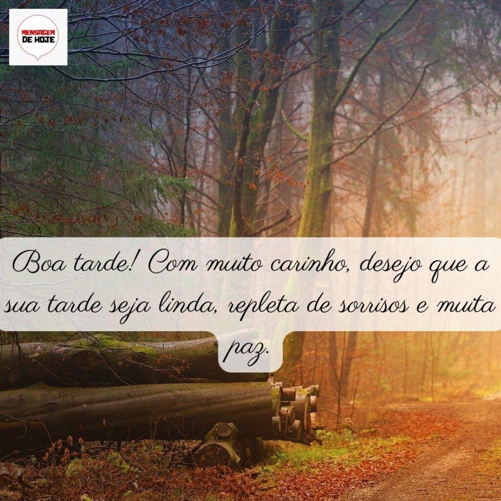 Boa Tarde 25 de Dezembro de 2022 7