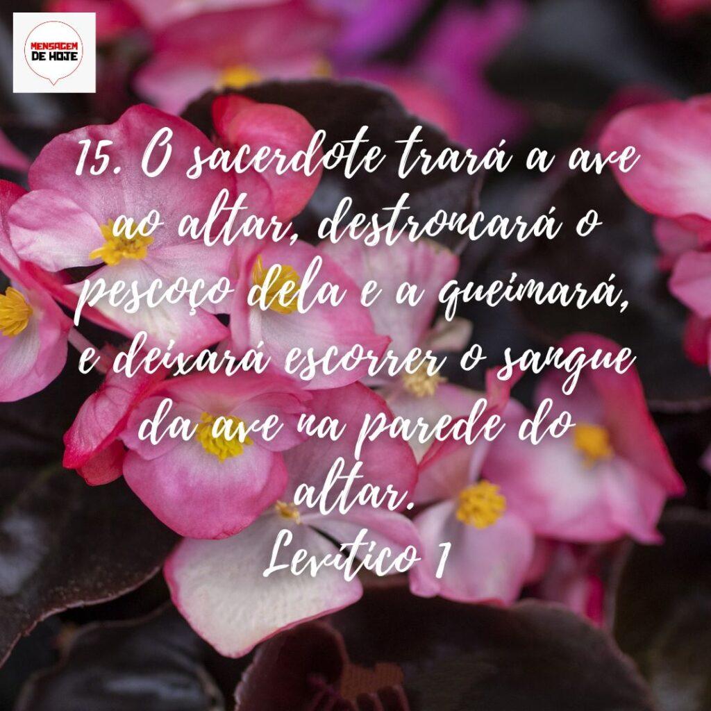 Salmos 04 de Dezembro de 2022 11