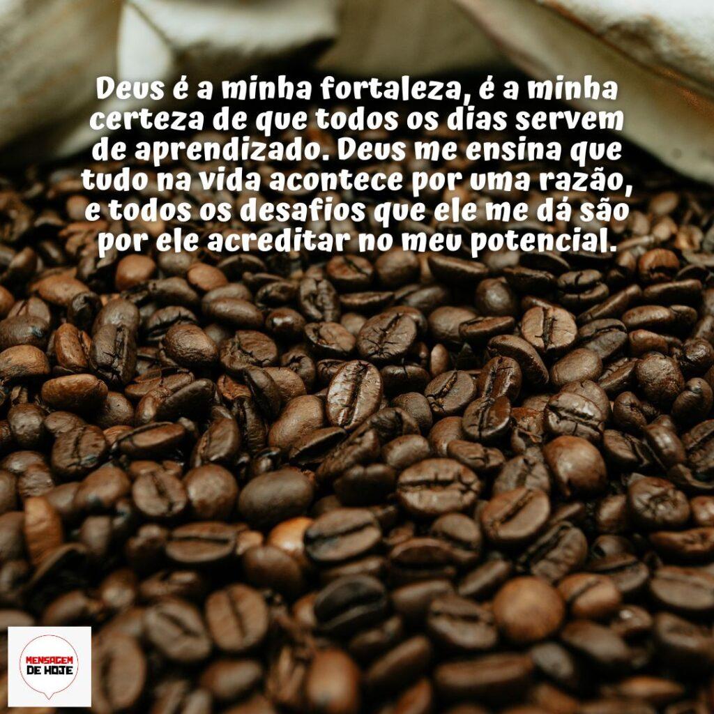 Bom Dia 18 de Dezembro de 2022 13