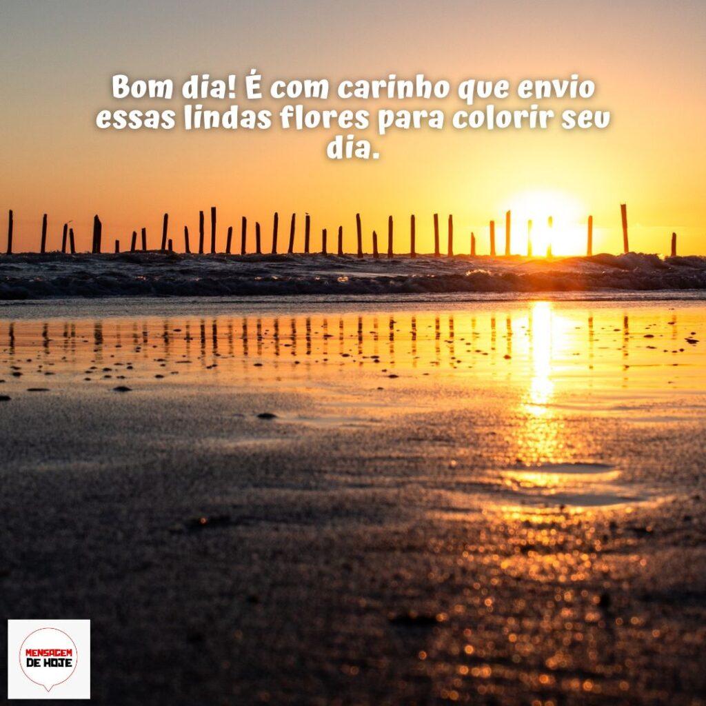 Bom Dia 18 de Dezembro de 2022 15