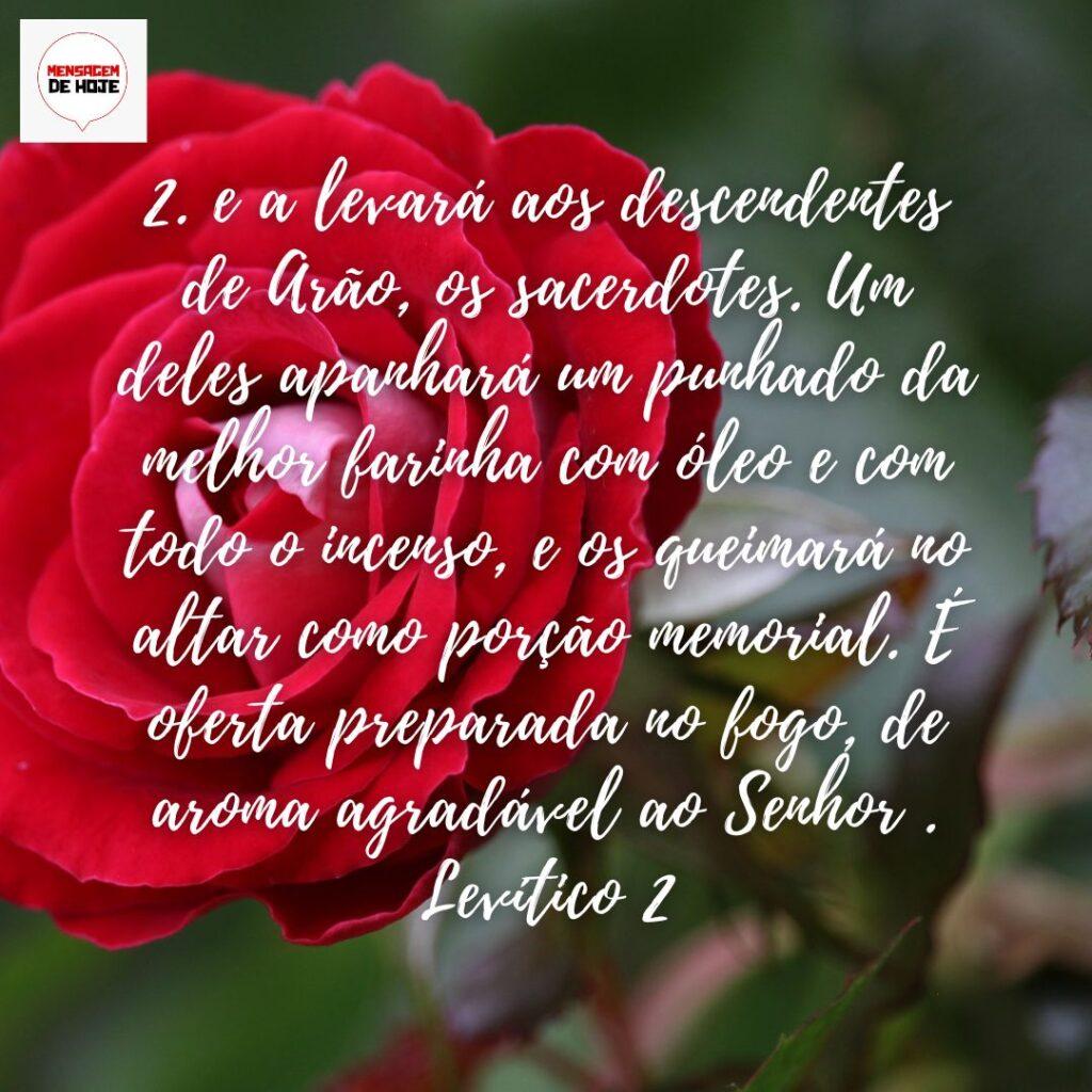 Salmos 24 de Dezembro de 2022 19